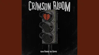 TOO BUSY TO LOVE
