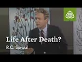 Life After Death Surprised by Suffering with R C Sproul