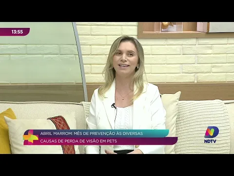 Abril Marrom: Cuidados com a Visão dos Animais de Estimação