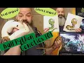 Ball Python Genetics 101 - morphs genes breeding