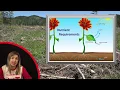 Tree Planter Training 2019 - Basic Silviculture Knowledge