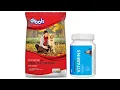 Drools Optimum Performance Adult Dry Dog Food - 20 kg