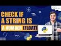 How to Check If a String Is a Number Float using Python Codes