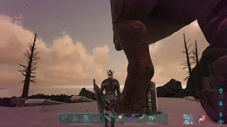 How to lower the breeding timer on fmales