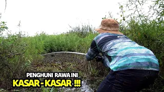 Menghadapi serangan brutal sampai pemancing ini gemetar #SG-493