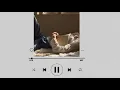Download Lagu POV:your thinking of him/her. a love playlist