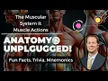 Muscle Movement Made Easy Flexion Extension Abduction Adduction and more Anatomy Unplugged