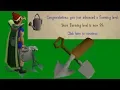 OSRS HCIM 173 My First Ever Top Page Hiscore