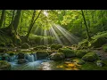 Lagu Beautiful Relaxing Music 🍀 Healing Sounds for Deep Calm \u0026 Inner Peace