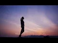 Ikaw Nga - Princess Velasco ( lyrics)