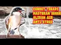 Download Lagu TERAPI CENDET MACET BUNYI ALIRAN AIR ANTI STRES