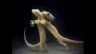 والله مايسوه اعيش الدنيا دونك  والله مايسوه اعيش الدنيا دونك