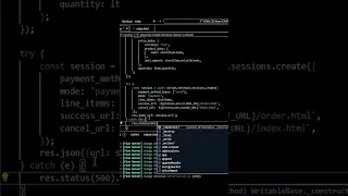Catch Server Side Errors with Node JS Ultimate Stripe API Node JS Tutorial