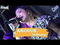 Download Lagu ERIKA SYAULINA - ANGGUR TERLARANG | D'BeSt Group \\ FPRO MUSIK