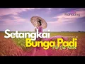 Lagu 💫 SETANGKAI BUNGA PADI - COVER BY KANDANG MUSIC LAB - POP DUT VERSION