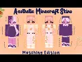 Aesthetic Minecraft Skins Matching with Links MCPE
