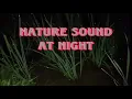 Download Lagu NATURE SOUND | NIGHT VILLAGE WALK