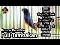 Download Lagu MASTERAN MURAI BATU FULL ISIAN TEMBAKAN CILILIN KAPAS TEMBAK KENARI CIBLEK TENGKEK DLL