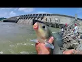 Carp Catch at Lake Eufaula Dam in Oklahoma