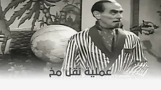 حرام عليك البروفيسور عايز يجرب نظريته على المومياء 