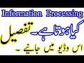 What is Information Processing