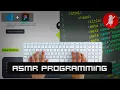 ASMR Programming - Positivus