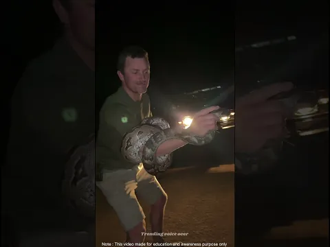ரெயின்போ கலர்ல பாம்புகளா 😱😱🐍⚕️ #snake #animals #pets #trendingshorts