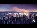 Dj Ciperi Pam Pam viral tik tok 🎧    slowed+reverb