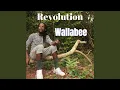 Download Lagu Revolution