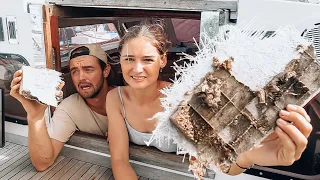 BOAT YARD LIFE: Finding YEARS worth of DAMAGE No.85