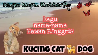 lagu kucing cat anjing dog kupu kupu butterfly lagu nama nama hewan