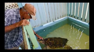 Sailing Around the World – Will This Man Save the Turtles? Ep. 34