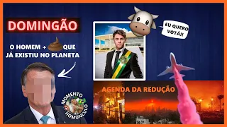 A ÓRFÃ