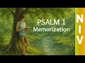 Psalm 1 NIV Memorization Song - One Hour Bible Verse Song