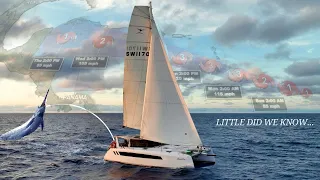 The Beginning of Our Long Sail to Grenada for Hurricane Season. Catching a Blue Marlin on Day 1.