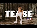 Download Lagu DJ Tease - Republic of Groove