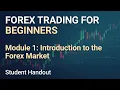 MODULE 1 - INTRODUCTION TO THE FOREX MARKET