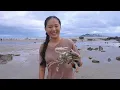 Download Lagu 台风吹上来好多东西，渔妹运气好抓到不少，难得见到“六眼怪”