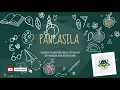 Download Lagu PANCASILA sebagai DASAR dan IDEOLOGI dalam Berbangsa dan Bernegara
