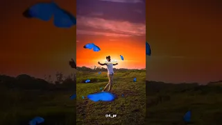 سليت سيفي في سبيل الله 