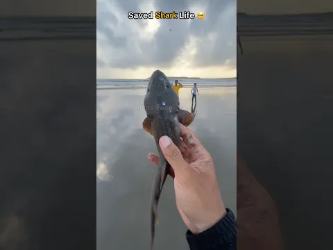 Saved this shark from the fishermen’s net just in time 🥹