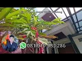 Download Lagu Rumah Mekar Wangi Bandung Lokasi Strategis