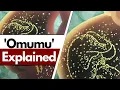 Download Lagu Omumu Explained - Igbo Spirituality- Law of Attraction, fertility, creativity, wealth, Igbo pyramids