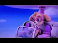 Bunny tickles Skye
