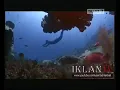 Iklan Djarum Black