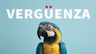 Vergüenza - hoy - palabras aladas