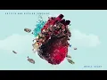Gryffin, Bipolar Sunshine - Whole Heart (Audio)
