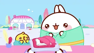 Molang's Animal Adventures 🦁 Animated Shows On Pop Teen Toons