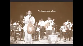 محمد الأمين زورق الألحان أجمل تسجيل 