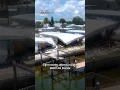 8 Months After Hurricane Milton Town Still Looks like War Zone